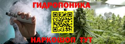 крисы Бердск