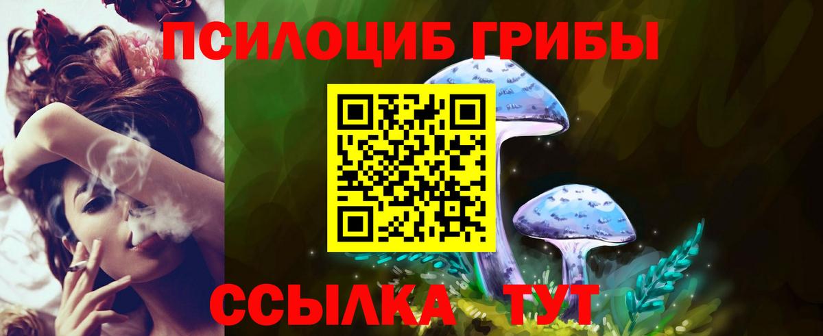 Галлюциногенные грибы прущие грибы  Вход с VPN  Борисоглебск 